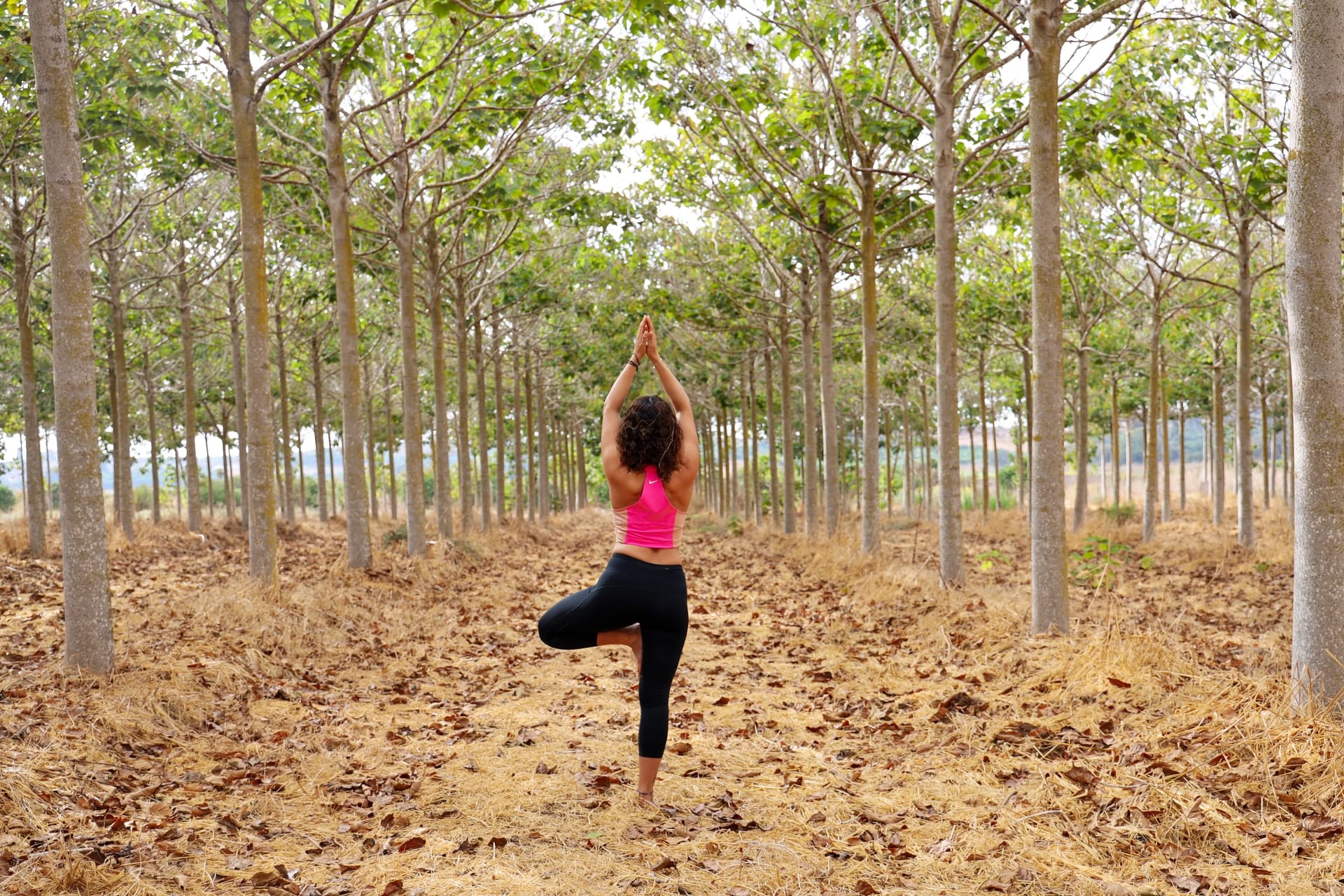 Yoga on the go in the forest